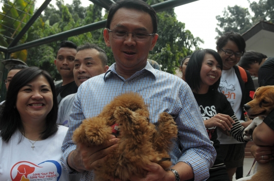 Ahok hadiri peringatan Hari Rabies se-Dunia di Taman Langsat