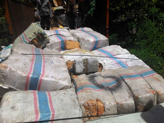 Ini 2 ton ganja yang ditemukan di Aceh Besar
