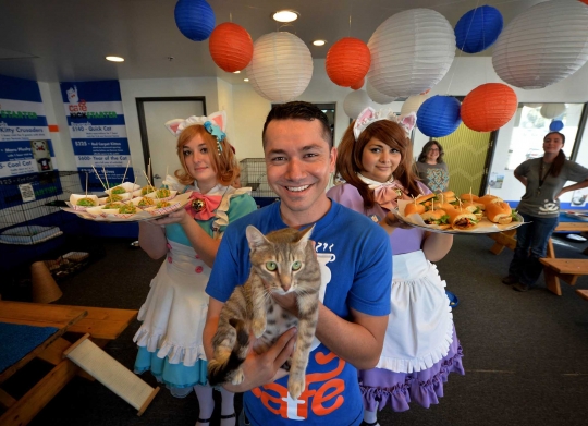 Sensasi makan bersama kucing di Cat Cafe