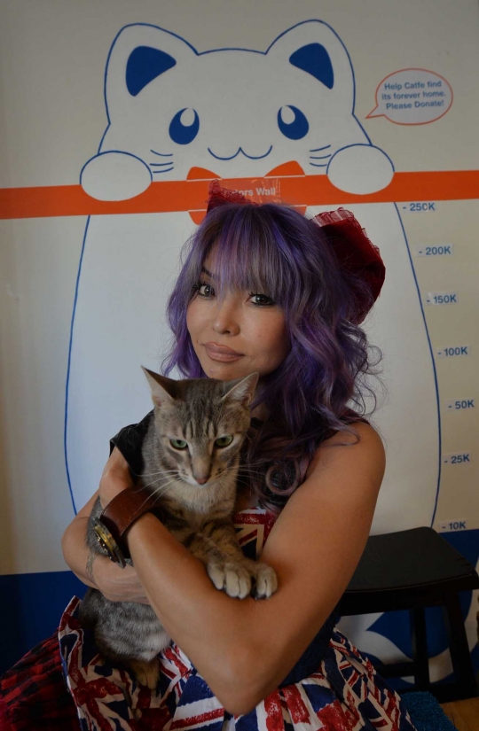 Sensasi makan bersama kucing di Cat Cafe