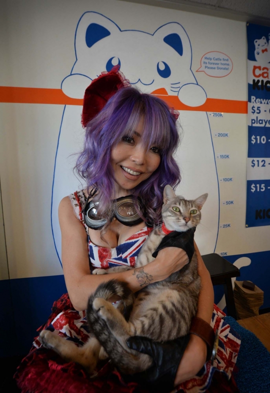 Sensasi makan bersama kucing di Cat Cafe