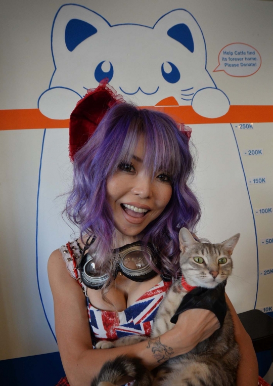 Sensasi makan bersama kucing di Cat Cafe