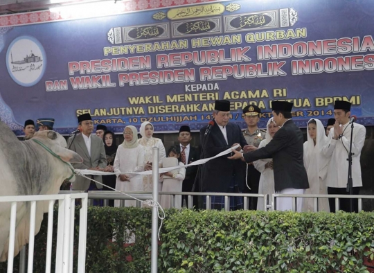 Presiden SBY berkurban sapi seberat 1 ton di Masjid Istiqlal