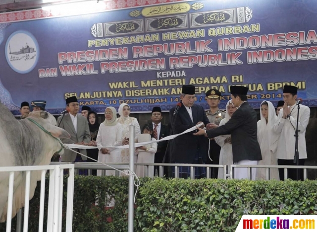 Foto : Presiden SBY berkurban sapi seberat 1 ton di Masjid 