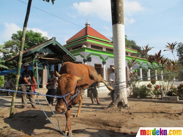 Foto : Melihat antusiasme warga Kediri sembelih hewan 