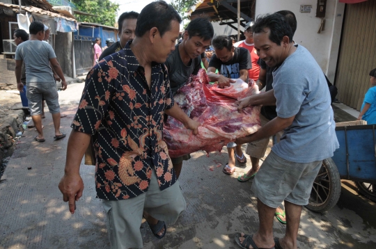 Kebersamaan warga Pulo Jahe ramai-ramai sembelih hewan kurban