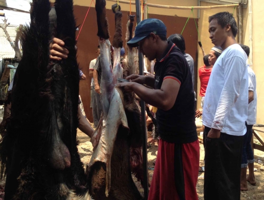 Kebersamaan warga Pulo Jahe ramai-ramai sembelih hewan kurban