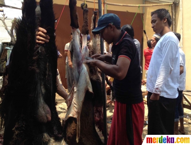 Foto : Kebersamaan warga Pulo Jahe ramai-ramai sembelih 