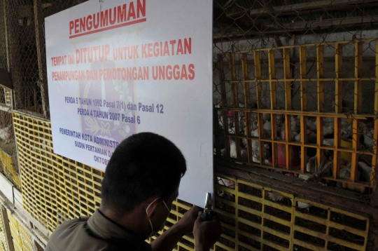 Cegah Flu Burung, belasan peternakan unggas di DKI ditutup