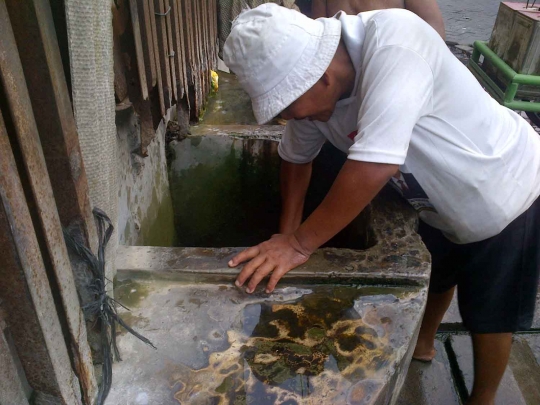 Kemarau, sumur warisan Belanda ini jadi andalan warga Semarang