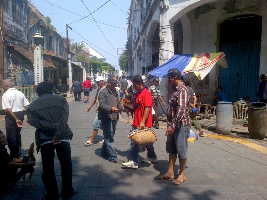 Melihat pusat turnamen sabung ayam di Kota Lama Semarang