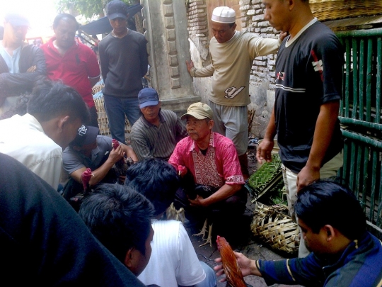 Melihat pusat turnamen sabung ayam di Kota Lama Semarang