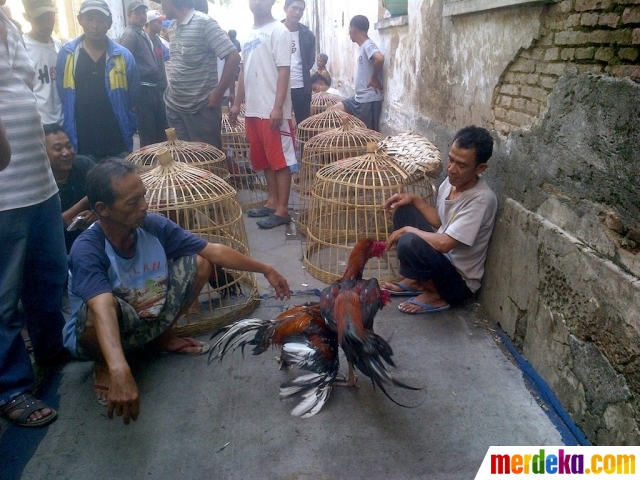 Pusat Sepatu Semarang Kota Di Pusat Sepatu Semarang Kota Di