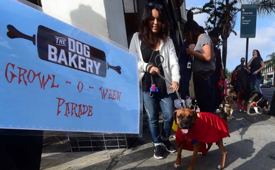 Gaya anjing berkostum unik rayakan Halloween di California