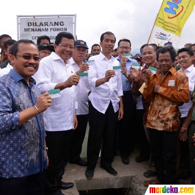 Foto : Kunjungan ke Mamuju, Jokowi tengok petani kakao 