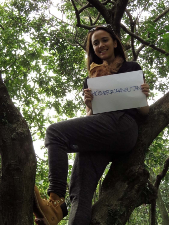 Kampanye #ClimbForOrangutan untuk kelangsungan hidup orang utan