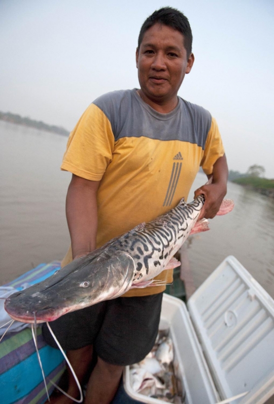 Berburu ikan lele penghuni Sungai Madre de Dios di Peru