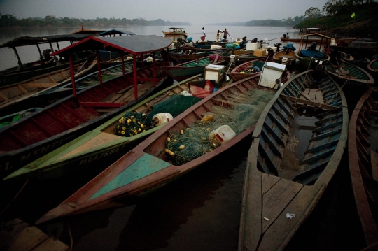 Berburu ikan lele penghuni Sungai Madre de Dios di Peru