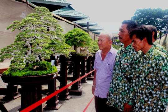 Pameran dan kontes bonsai tingkat nasional di Kediri
