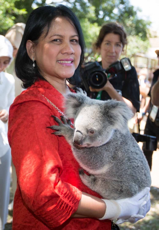Iriana Jokowi bermain koala bersama ibu negara peserta KTT G20