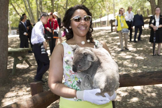 Iriana Jokowi bermain koala bersama ibu negara peserta KTT G20