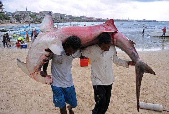 Kisah pemburu monster laut di Somalia