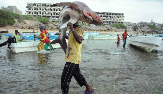 Kisah pemburu monster laut di Somalia