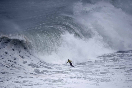 Aksi berani peselancar tantang ombak raksasa di pantai Portugal