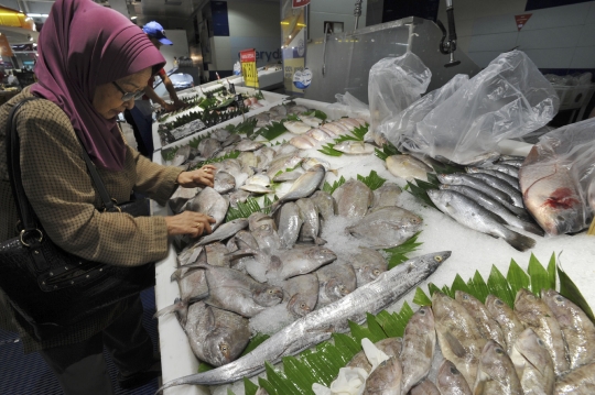 Jumat ini pemerintah tetapkan Hari Ikan Nasional