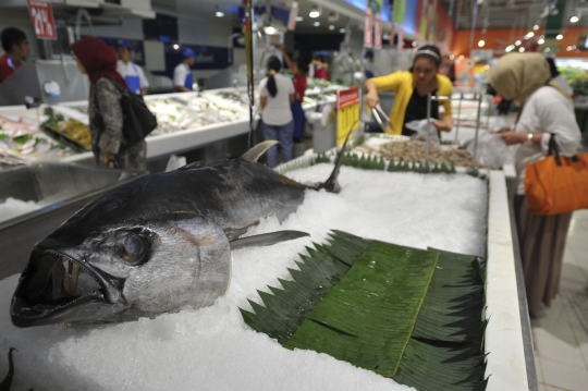 Jumat ini pemerintah tetapkan Hari Ikan Nasional