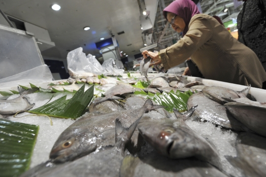 Jumat ini pemerintah tetapkan Hari Ikan Nasional