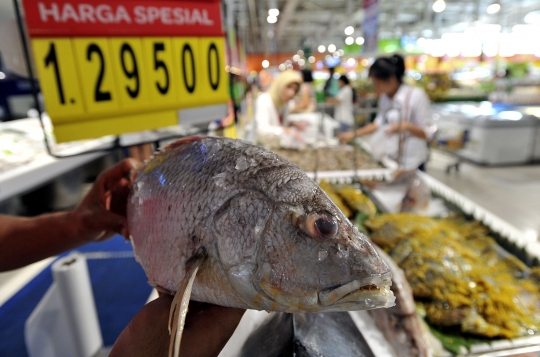 Jumat ini pemerintah tetapkan Hari Ikan Nasional