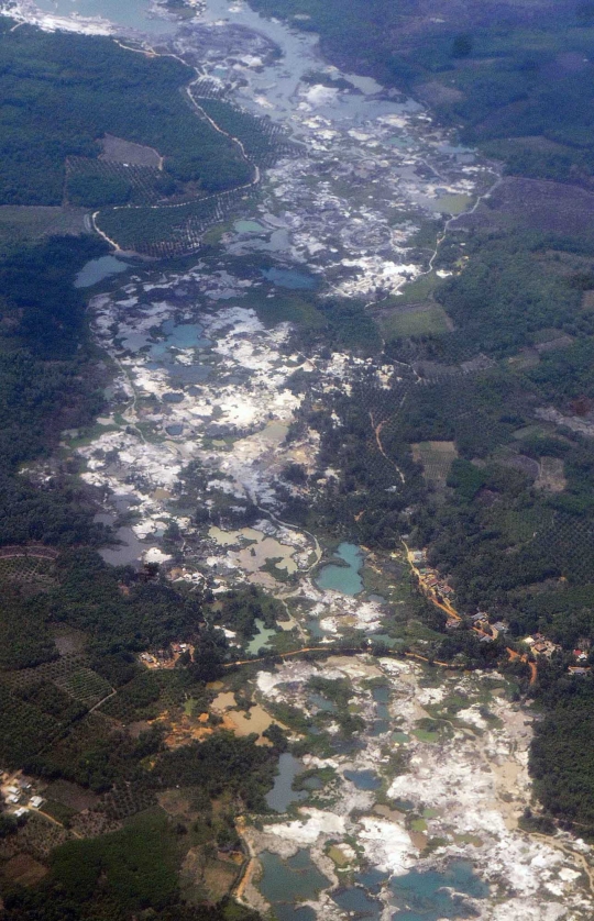 Parahnya kerusakan hutan Bangka Belitung akibat pertambangan