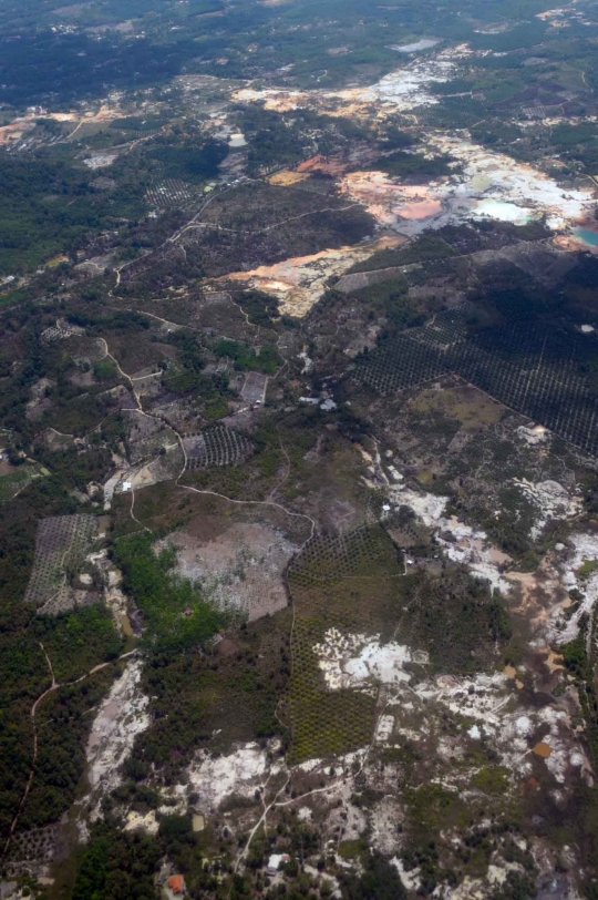 Parahnya kerusakan hutan Bangka Belitung akibat pertambangan