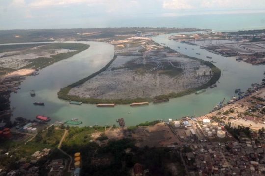 Parahnya kerusakan hutan Bangka Belitung akibat pertambangan