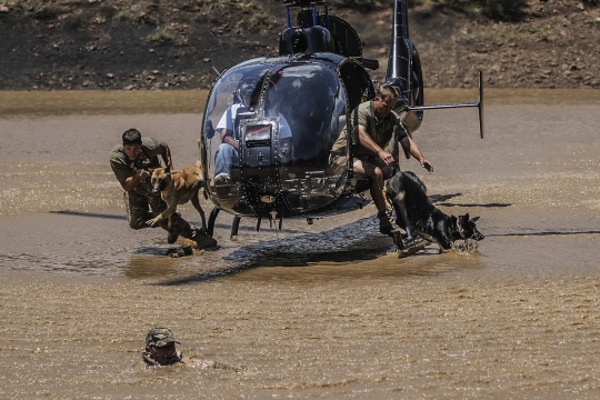 Tekan aksi perburuan liar, anjing-anjing ini dilatih bak tentara