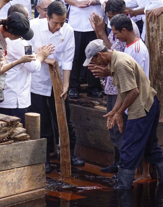 Ini aksi Jokowi bantu warga Riau bangun bendungan lahan gambut