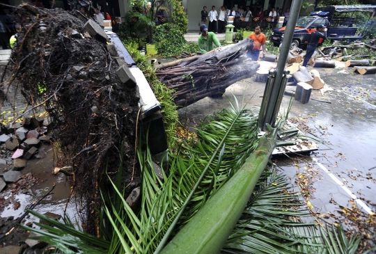 Pohon tumbang di Setiabudi timpa mobil dinas Satpol PP