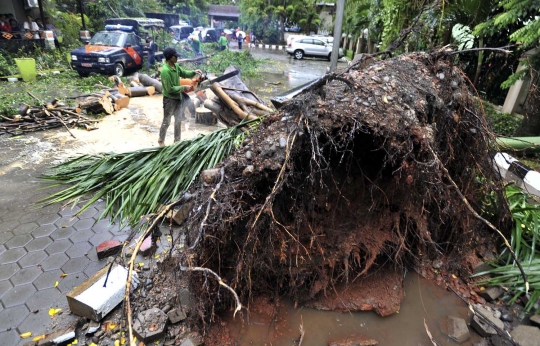 Pohon tumbang di Setiabudi timpa mobil dinas Satpol PP