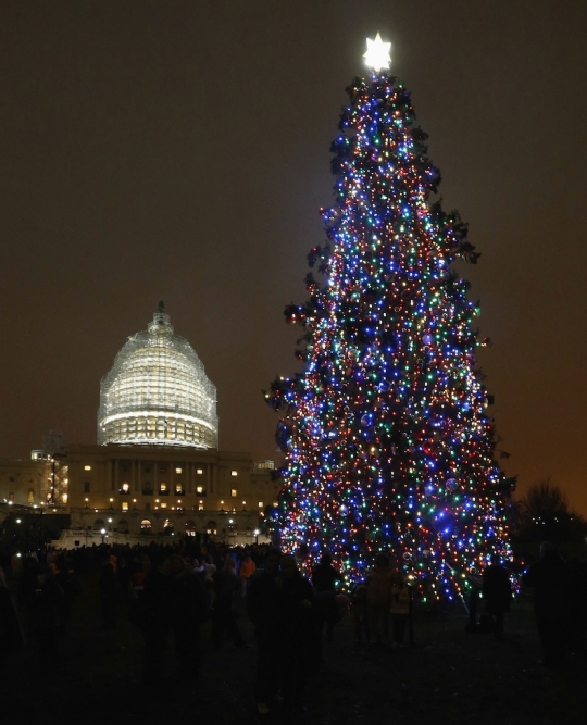 Warna-warni cahaya pohon Natal raksasa hiasi Gedung Capitol