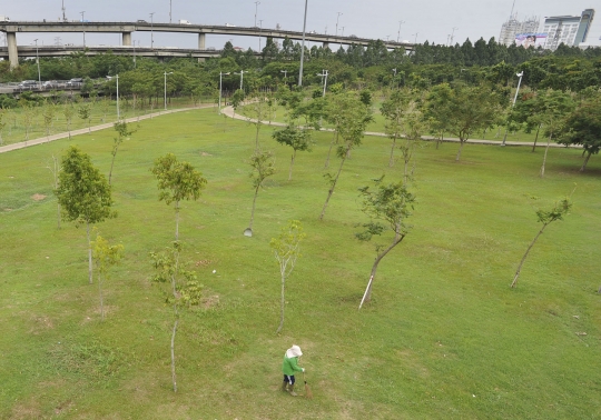 Melihat Taman Hutan Kota yang hijaukan kawasan Pluit