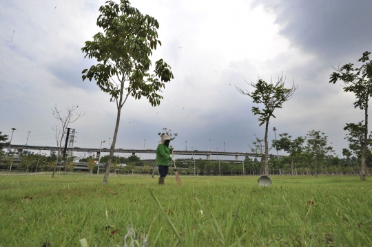 Melihat Taman Hutan Kota yang hijaukan kawasan Pluit