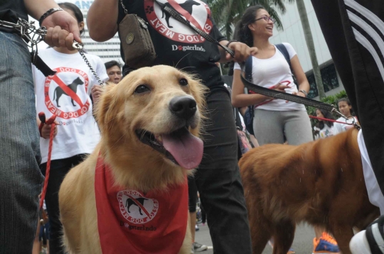 Aksi kampanye setop tradisi makan daging anjing di Bundaran HI