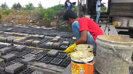 Keresahan petani tambak usai Singapura hentikan impor kepiting