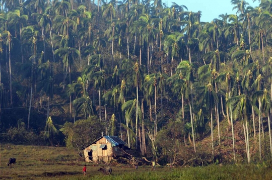 Meratapi kondisi warga Filipina pasca-terjangan Topan Hagupit