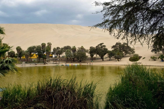 Menikmati keindahan Oasis Huacachina di Peru