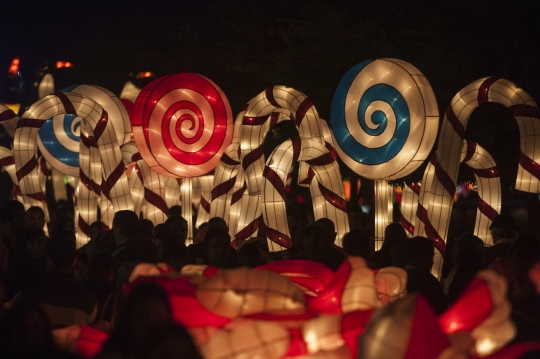 Warna-warni cahaya hiasi Festival Luminasia