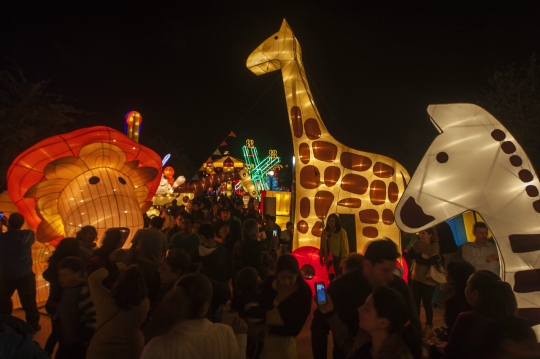 Warna-warni cahaya hiasi Festival Luminasia