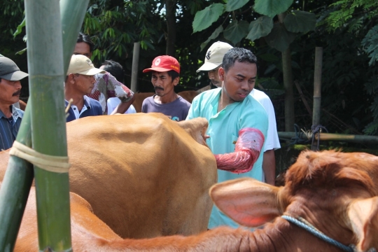 Apel ternak dan pengobatan massal antisipasi antraks di Kediri