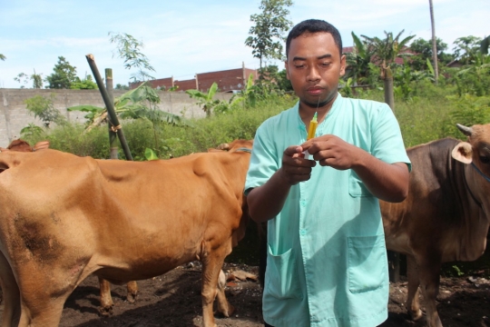 Apel ternak dan pengobatan massal antisipasi antraks di Kediri